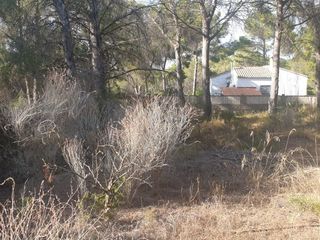 Affitto Fondo rustico in Camí barranc balau 18. Parcela vallada con acceso autocaravanas