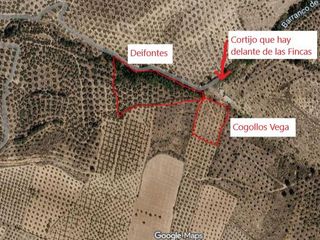 Fondo rustico in Avenida el llano 1. Venta 2 fincas rústicas de olivos