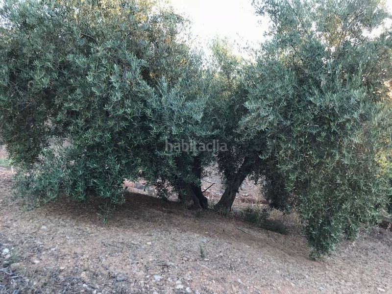 Foto b61e51c3-2c23-41e9-9e0b-24152a267849. Finca rústica a avenida el llano 1 a Deifontes