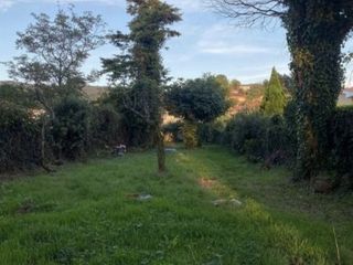 Rural plot in Avenida del doctor sixto mauriz 66t. Se vende terreno rústico en fene