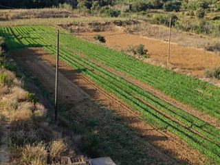 Lloguer Finca rústica a Carrer farigola 10. Finca agrícola con agua propia e infraestructuras productivas –