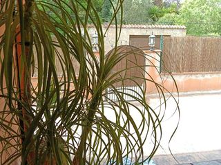 Chalet en C/santa cristina 16. Calidad de vida