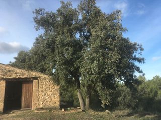 Landgut in Carrer de sant pere 2. Finca riego preciosa en venta garrigues altes con tofoneras