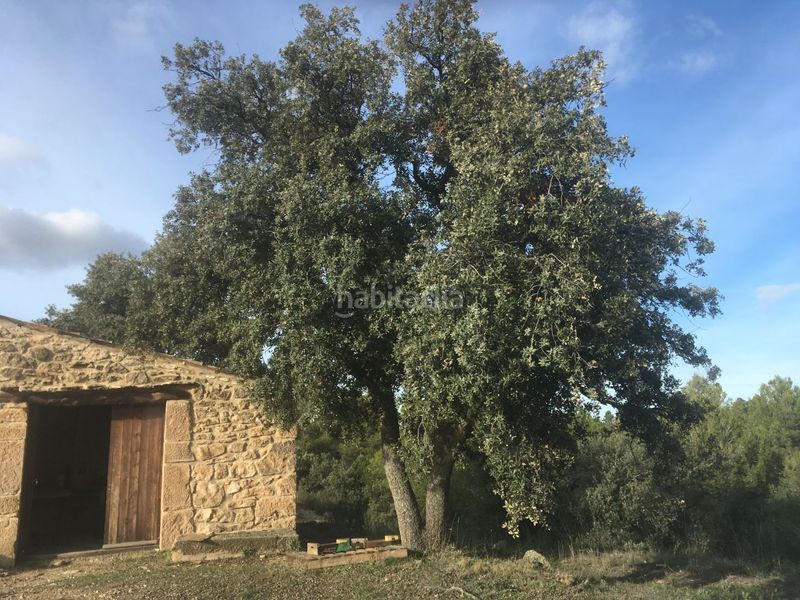 Foto 71b5ebc2-054d-4aed-a7b6-e36f2ac33268. Finca rústica a carrer de sant pere 2 a Juncosa