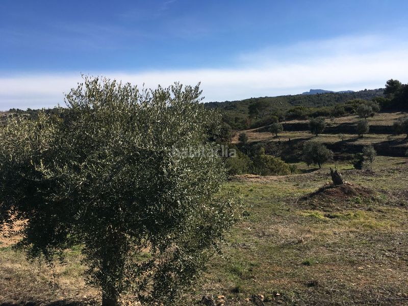 Foto c003bdc2-f079-4d9d-b586-cc5e64e3d743. Finca rústica a carrer de sant pere 2 a Juncosa