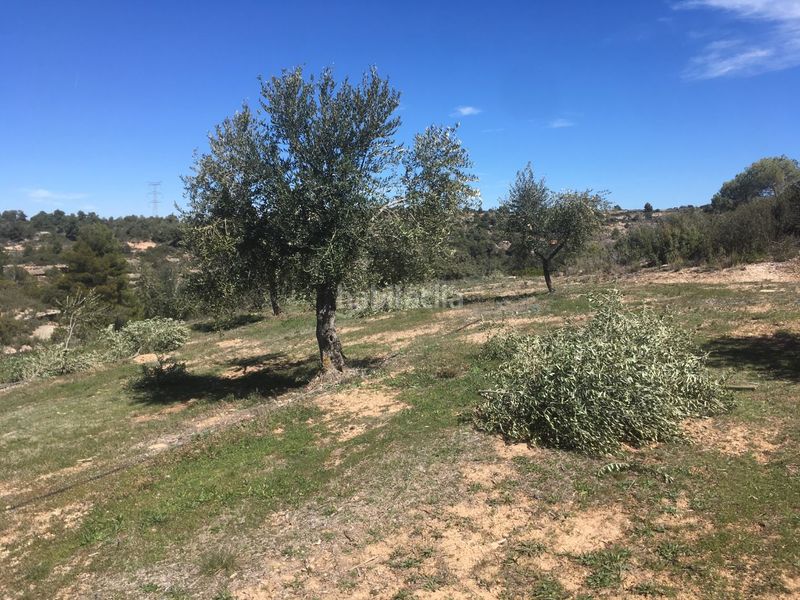 Foto fe6d27ac-aaae-4a56-a313-b37796fb45bd. Finca rústica a carrer de sant pere 2 a Juncosa