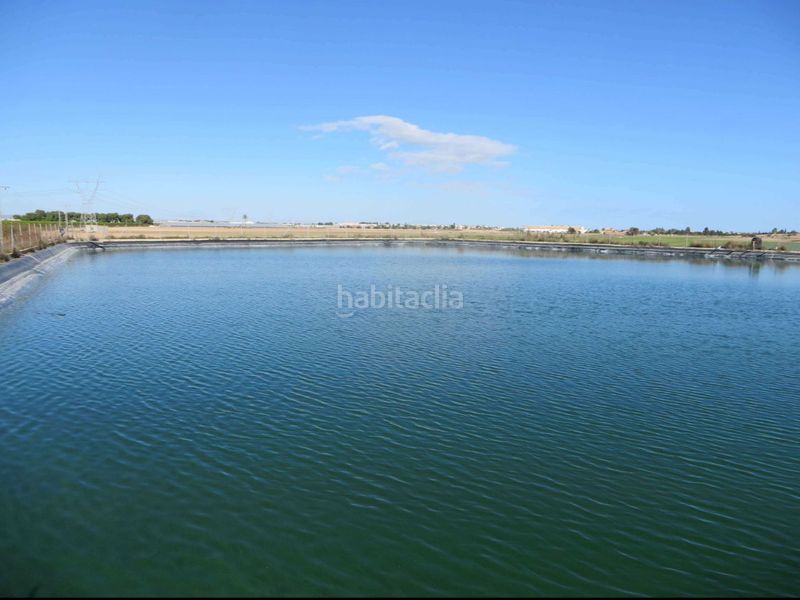 Foto 2c3f0e76-286e-4765-a273-3784289fc841. Finca rústica a carretera sucina 44 a San Javier San Javier