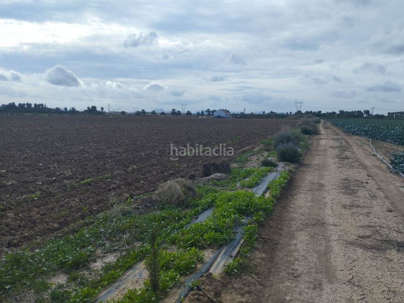 Foto bf1ae684-f758-495e-aa5e-00c76251f2ec. Finca rústica a carretera sucina 44 a San Javier San Javier