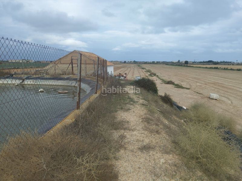 Foto bf491bc5-fe85-4a40-b110-0461065ceb6e. Finca rústica a carretera sucina 44 a San Javier San Javier