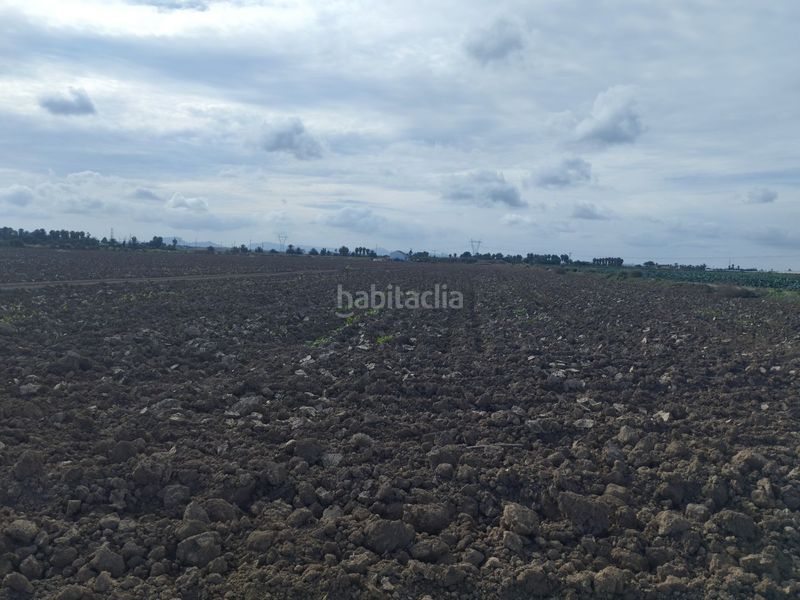 Foto f3ce707d-ecd2-4e3d-9c97-64711cb0e5d1. Finca rústica a carretera sucina 44 a San Javier San Javier