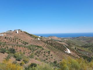 Miete Bauernhof in Calle trasera el pajuelo 3. Alquiler larga temporada cerca torre del mar