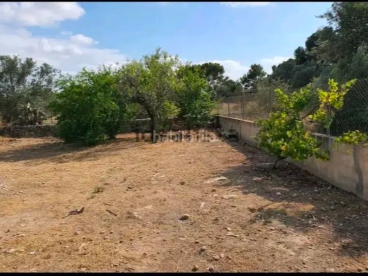Foto 201819c5-831c-41d4-a0c2-56ce4834a8f6. Lloguer xalet a carrer del llamp 80 a Urbanizaciones Llíria