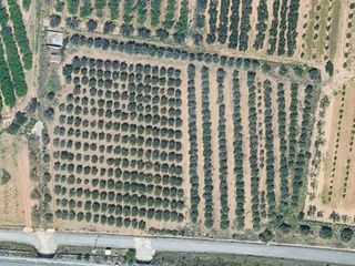 Landgut in Avinguda de bellissens 177. Finca rústica con olivos y pozo propio