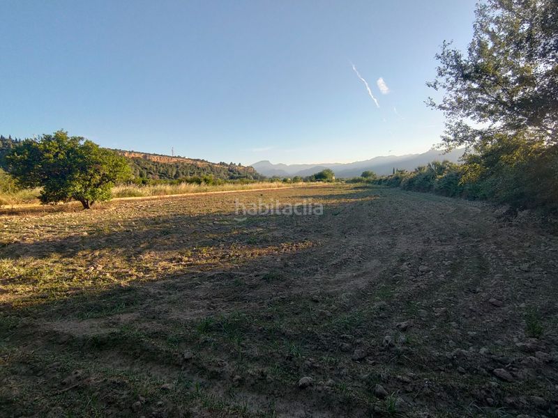 Foto 512a3b16-a95f-4dd9-a32f-1c7e3133b167. Finca rústica a diseminado poligon 4 68 a Xerta