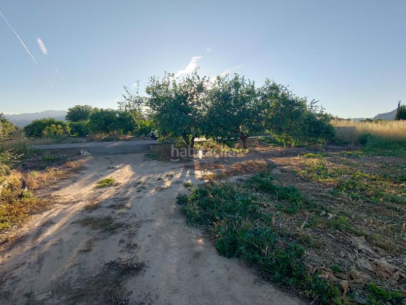 Foto fd31c49f-7875-4422-8910-ffcbb70aa3f9. Finca rústica a diseminado poligon 4 68 a Xerta
