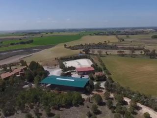 Finca rústica a Camino villalba de los alcores sin número. Se vende impresionante finca ecuestre