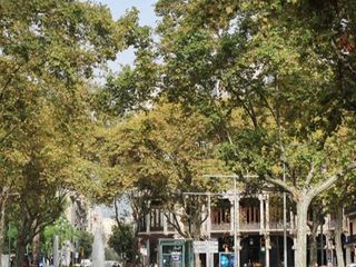 Piso en Carrrer de corsega 395. Piso en venta en barcelona
