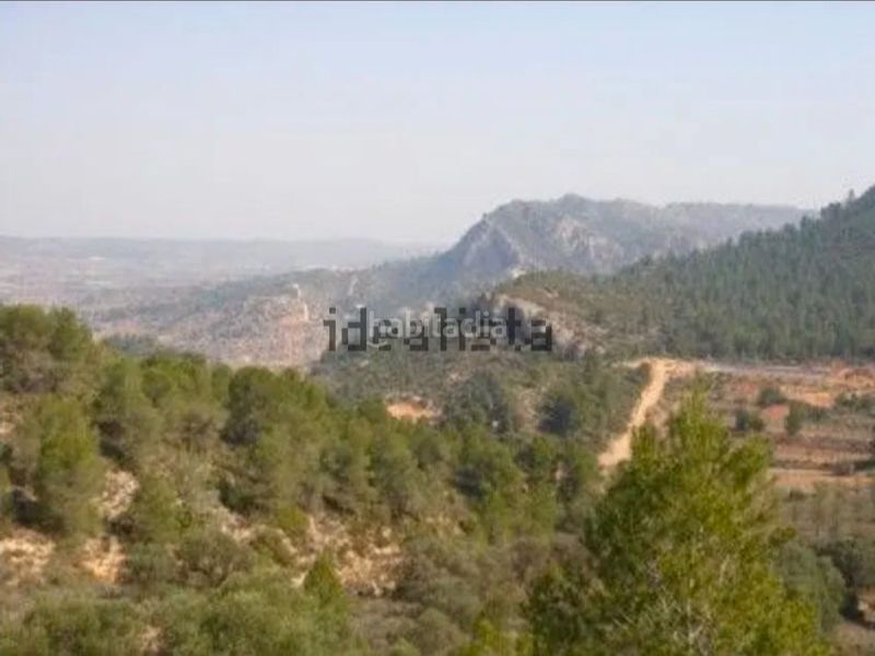 Foto b8e0c497-b9cc-4afe-bfcb-1bb2ee60a119. Finca rústica a más de prades sn a Ascó