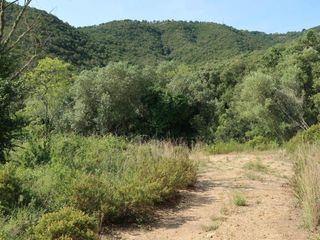 Fondo rustico in Giv-6612 6. Finca forestal en venda.  baix empordà. costa brava centre. gava