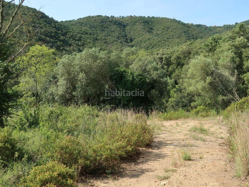 Foto 31713e06-8bbc-41f9-a106-d2cfac6f71af. Finca rústica a giv-6612 6 a Cabanyes-Mas Ambrós-Mas Pallí Calonge