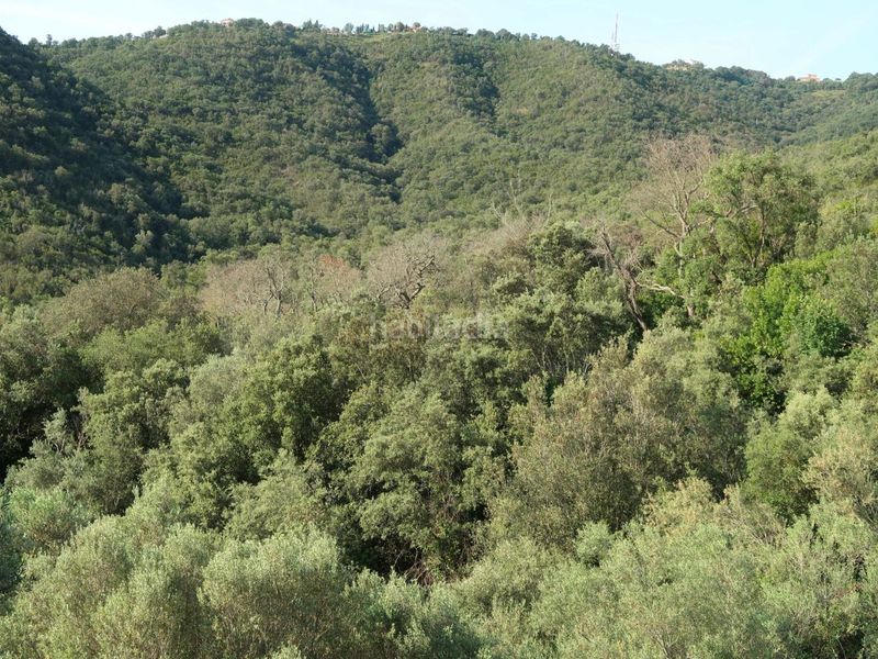 Foto 57c3da19-e86d-46a6-9b59-e8cb6a2fdcb0. Finca rústica a giv-6612 6 a Cabanyes-Mas Ambrós-Mas Pallí Calonge