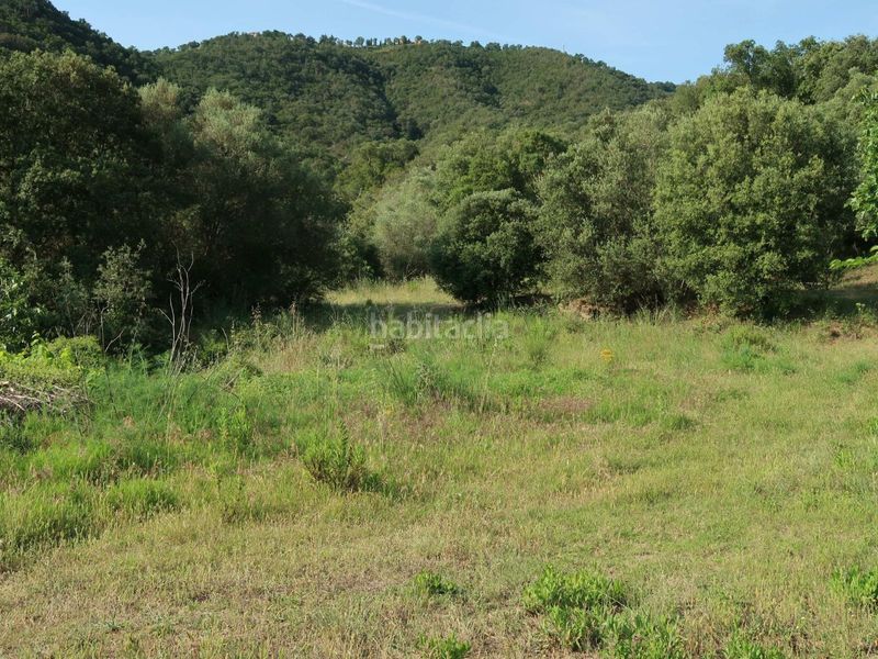 Foto 8ee711e8-d655-4b2c-a519-3a8363788d72. Finca rústica a giv-6612 6 a Cabanyes-Mas Ambrós-Mas Pallí Calonge