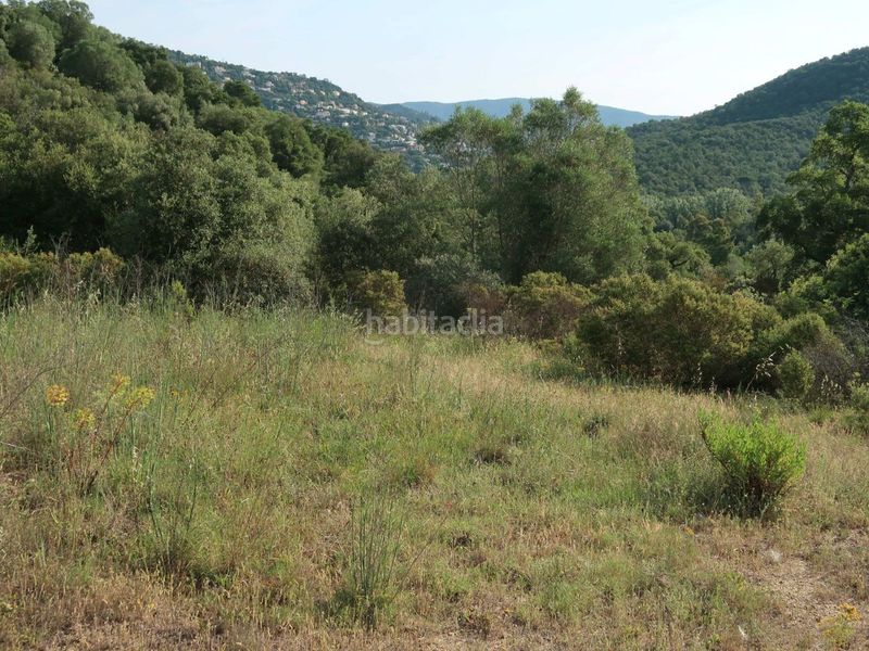 Foto bcdbd043-d265-4842-9be2-74116e44bc1c. Finca rústica a giv-6612 6 a Cabanyes-Mas Ambrós-Mas Pallí Calonge