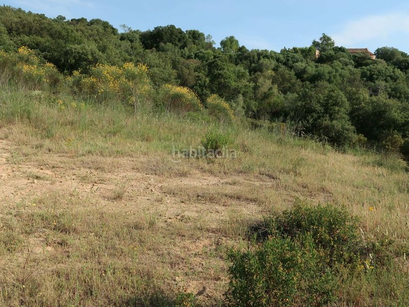 Foto c72a1dc8-e175-4686-be67-24ec76b1258b. Finca rústica a giv-6612 6 a Cabanyes-Mas Ambrós-Mas Pallí Calonge