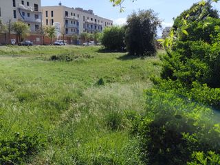 Residential Plot in Carrer bullidors 35. Terreno en domeny