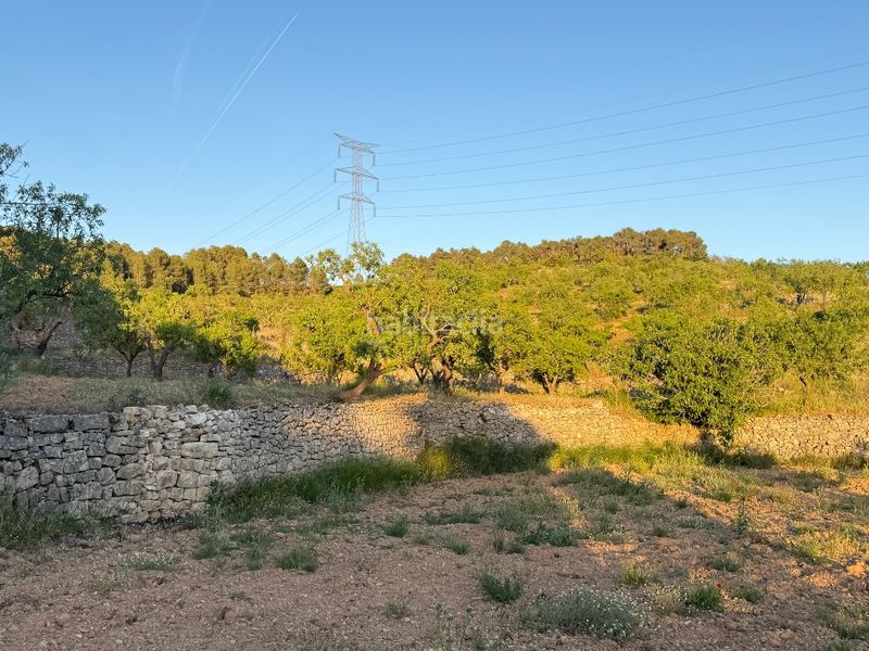Foto 062674d9-89da-483c-b220-bed987c7d27d. Finca rústica a tosalet 42 a Fatarella (La)