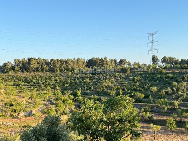 Foto 12f474a8-5f06-4f5c-9aae-9a3ae3dd87e4. Finca rústica a tosalet 42 a Fatarella (La)