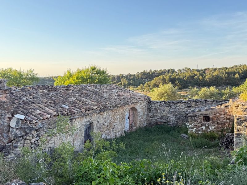 Foto 1bd16658-63c0-4084-af59-03d3b502e16e. Finca rústica a tosalet 42 a Fatarella (La)