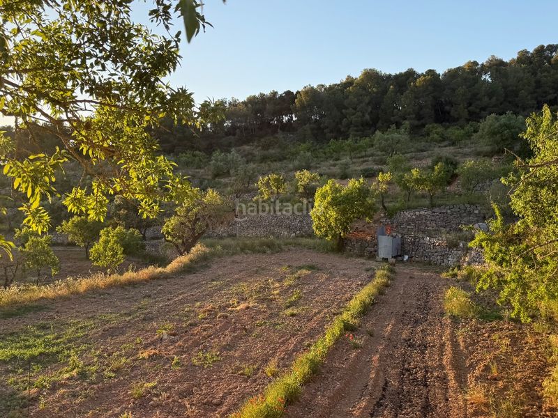Foto 35b614e6-9258-4b74-a8ce-78df1475ed9c. Finca rústica a tosalet 42 a Fatarella (La)