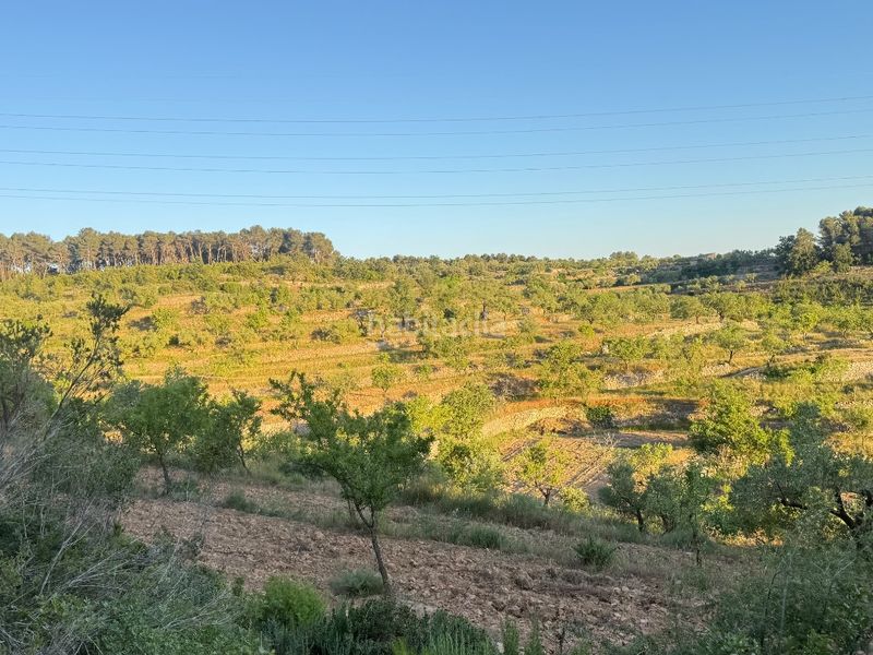 Foto 3836d117-b3b7-4449-a173-1b2d65ef8881. Finca rústica a tosalet 42 a Fatarella (La)