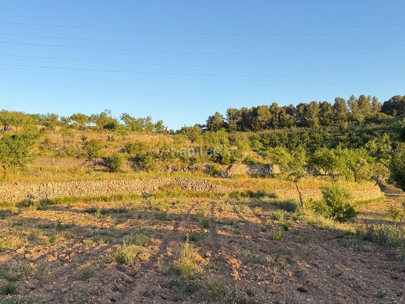 Foto 44a24c85-ad29-482c-8c4f-c9670a848b78. Finca rústica a tosalet 42 a Fatarella (La)