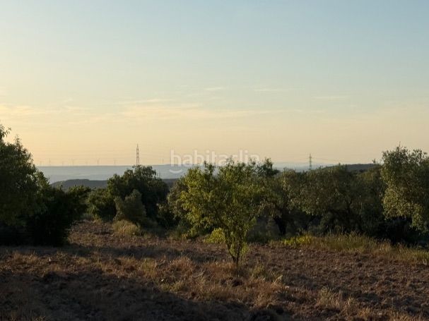 Foto 5a9242a1-687f-4fb5-9113-a2a715f07dd4. Finca rústica a tosalet 42 a Fatarella (La)