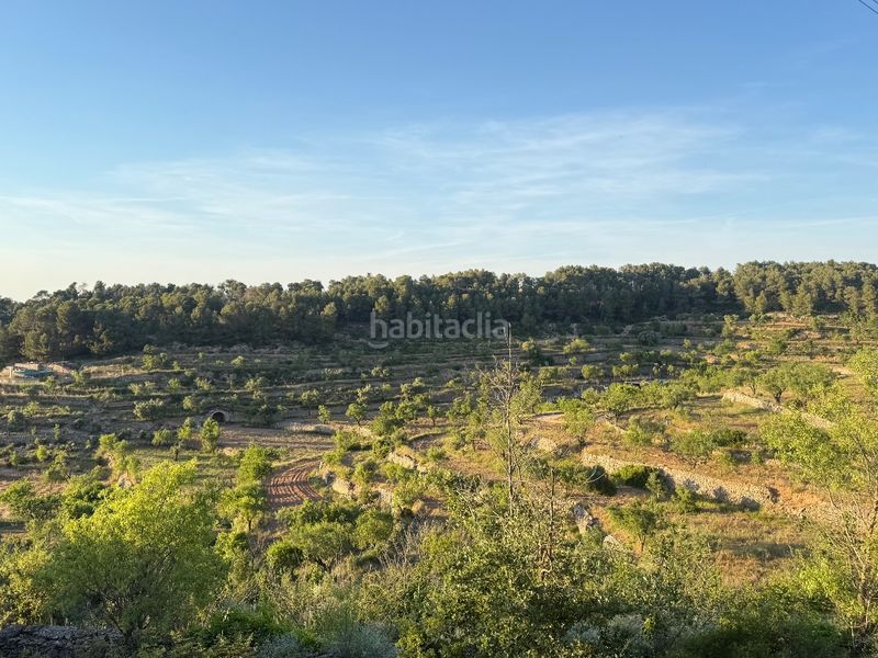 Foto 5c69bf3e-73d4-457e-abe4-fc65b9d4f132. Finca rústica a tosalet 42 a Fatarella (La)