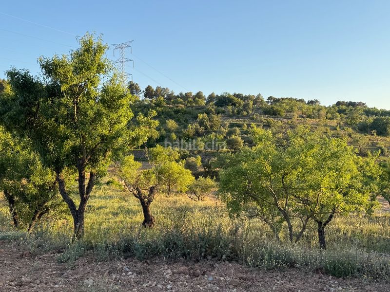 Foto 7178c1aa-d8e2-4578-b92a-78f2edd764db. Finca rústica a tosalet 42 a Fatarella (La)