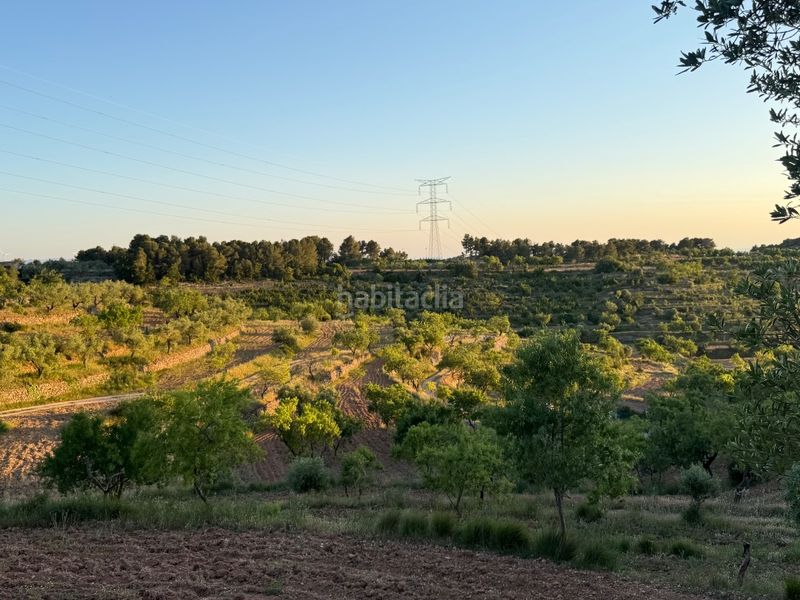 Foto 71abae91-bb88-4c8a-bf7e-b9b07c21a154. Finca rústica a tosalet 42 a Fatarella (La)