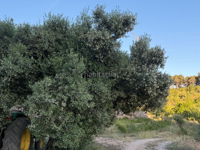 Foto 92eff153-bbf4-494d-955e-60699bb35252. Finca rústica a tosalet 42 a Fatarella (La)