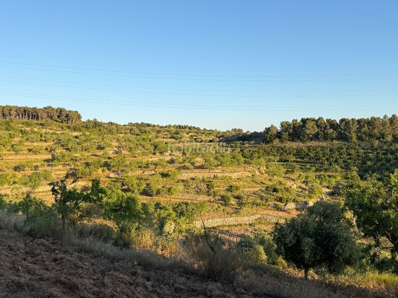 Foto abde532e-6df4-4ad1-985b-07e10ae355c8. Finca rústica a tosalet 42 a Fatarella (La)