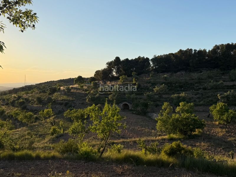 Foto af20453d-289e-4ccc-87b7-d6b728b3b75b. Finca rústica a tosalet 42 a Fatarella (La)