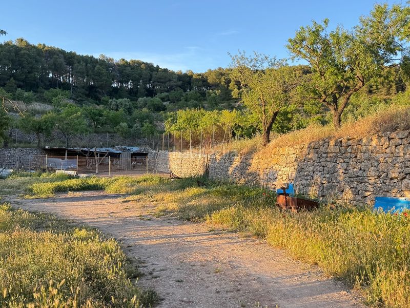 Foto c6e791b8-2d5f-4968-8796-0061a4daff54. Finca rústica a tosalet 42 a Fatarella (La)