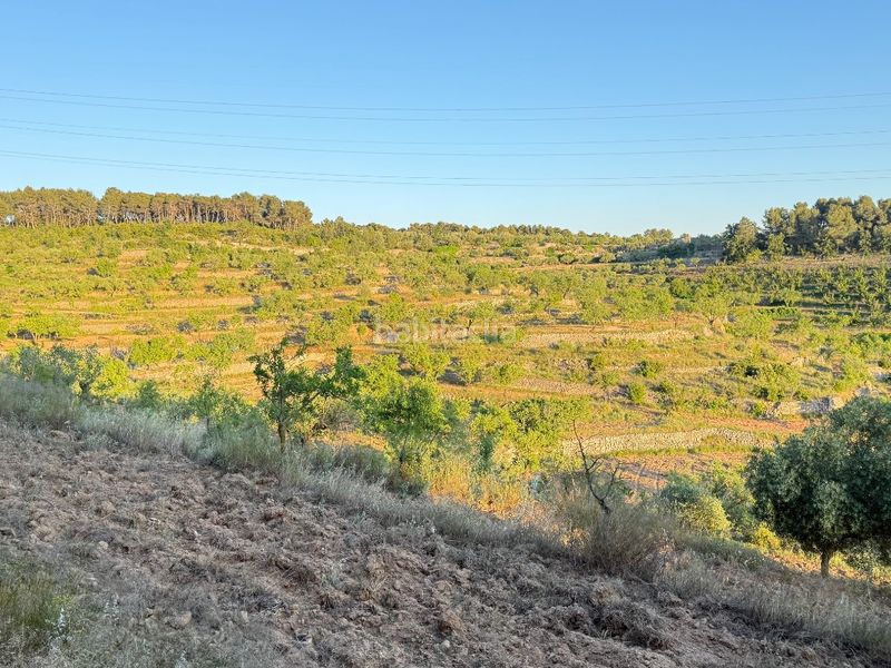 Foto e01e888b-eac9-4d1b-bafa-4f6a41ee9f86. Finca rústica a tosalet 42 a Fatarella (La)