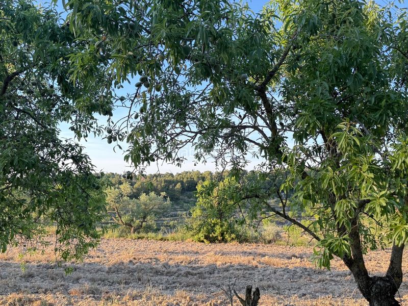 Foto ec3b80b3-635d-471d-b296-cde75805113f. Finca rústica a tosalet 42 a Fatarella (La)