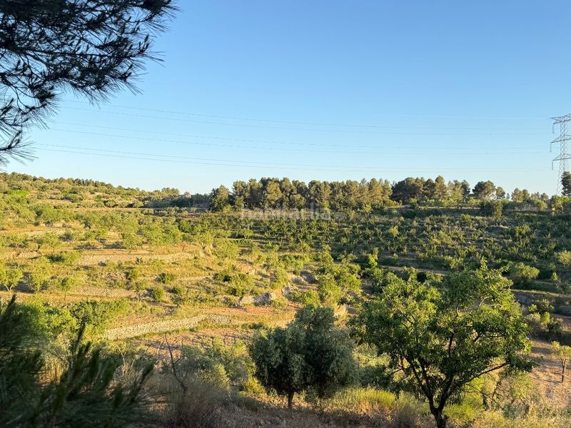 Foto fd6c45e7-8f5e-4002-9c6a-b07f129a08d1. Finca rústica a tosalet 42 a Fatarella (La)
