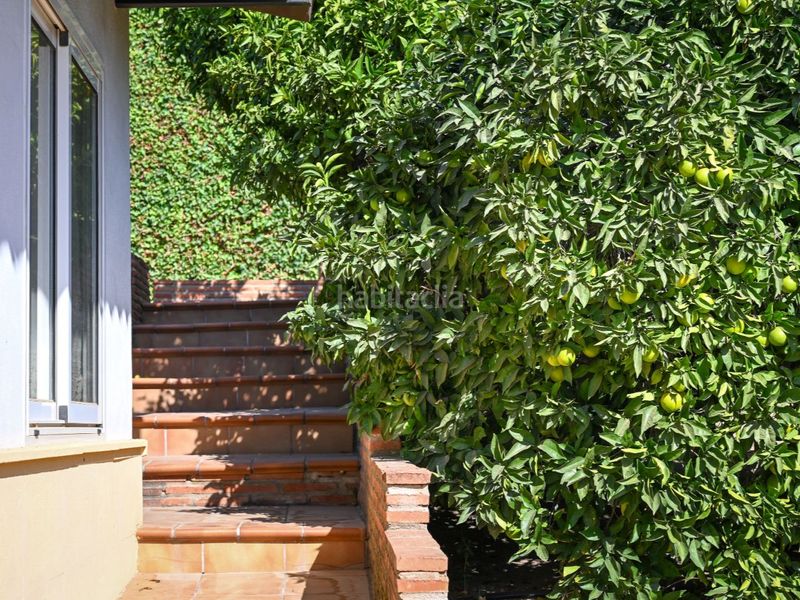 Foto d824b90f-0c0c-41a3-b263-759f98fffc04. Rent house in calle torreón 90 in Manantiales - Lagar - Cortijo Alhaurín de la Torre