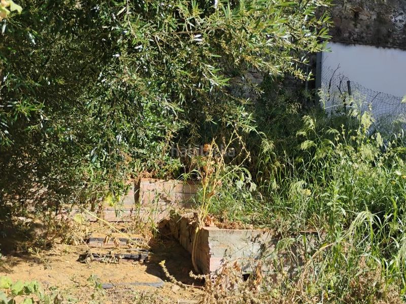 Foto dd5c7893-d649-44e5-8d4d-b3d2e53982bd. Casa a veredilla 0 a Alcalá de los Gazules