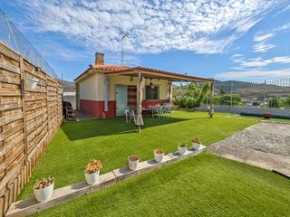 Xalet a Calle mayor 189. Chalet independiente con huerto, frutales y 3 parcelas junto a l