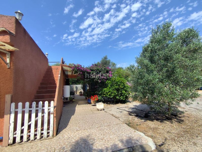 Foto 0d1f4743-29ff-4a22-91ba-dec11dc88bbb. Masia a son lluch 313 a Algaida